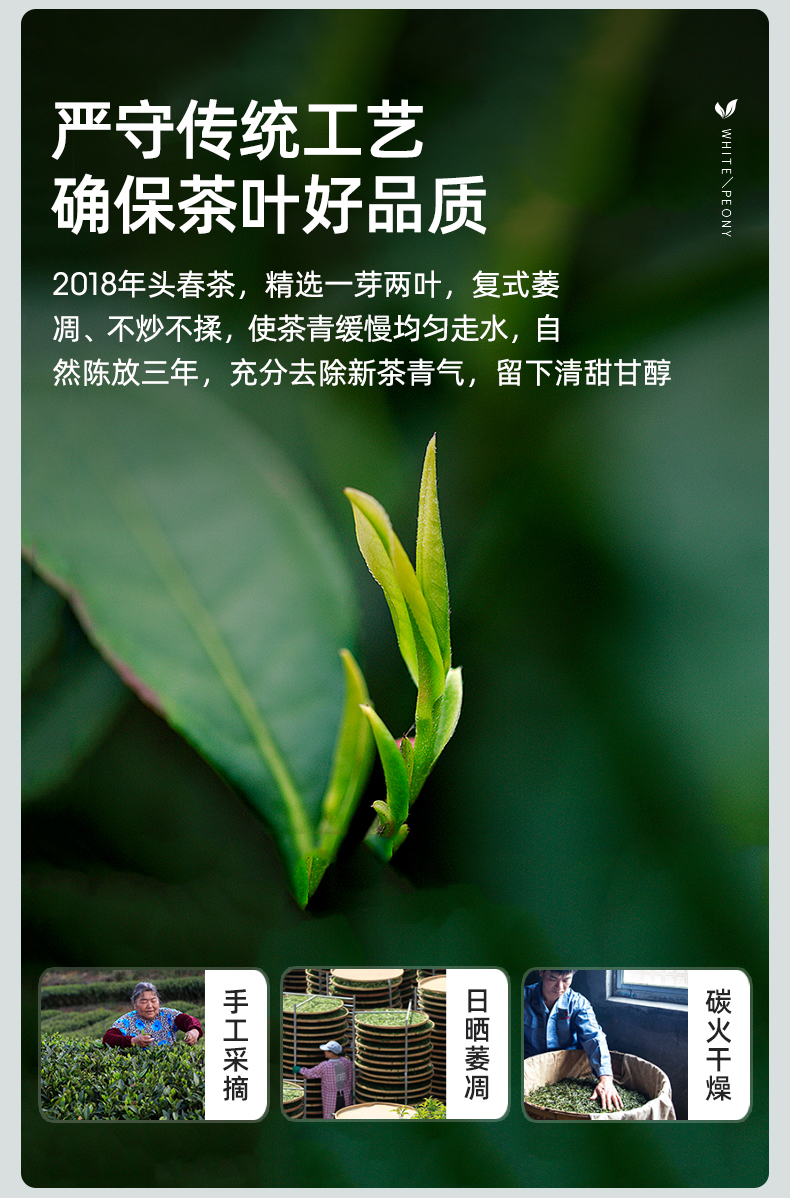 藝福堂白牡丹茶100g(圖5)