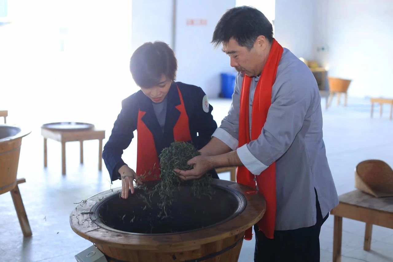 新農(nóng)領(lǐng)頭人傅曉萍:培育出高EGCG含量的茶樹品種,使茶品質(zhì)量大幅提高,利用無人機(jī)巡航茶園,實(shí)現(xiàn)茶園管理的智能化升級(圖1) 微信圖片_20250515093328.jpg