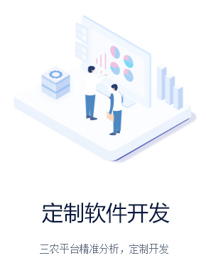 定制軟件開發 定制軟件開發